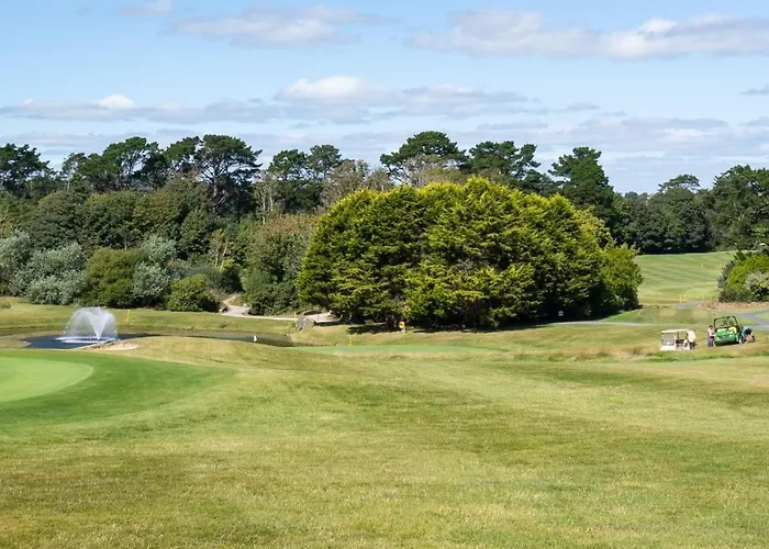 Burrows Lodge, The Metal Man 6 招待所 *